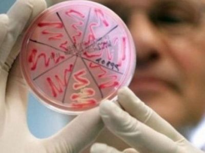 Источник фото: racurs.ua